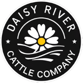 Daisy River Cattle Company