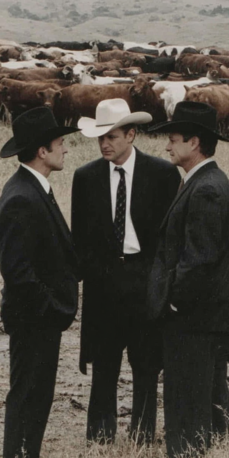 Traditional American rancher with cattle